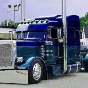 Meet your Posher, Dion